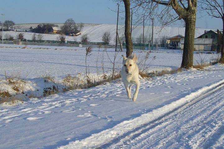 CIMG2650.JPG - Endlich gab es mal wieder Schnee