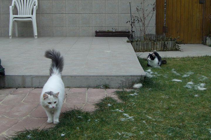 CIMG6443.JPG - Unsere Mdels auf Erkundungstour im Garten