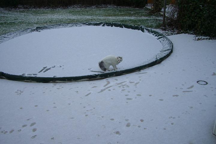 CIMG6467.JPG - Sindy geht eislaufen