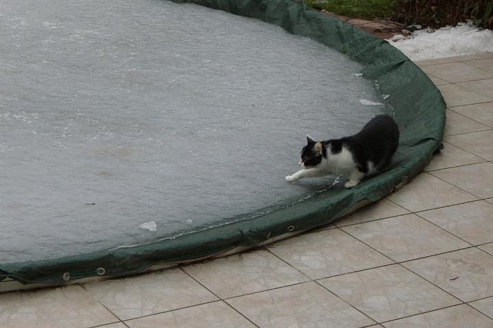 CIMG6765.JPG - Bonny wagt sich auf's Eis
