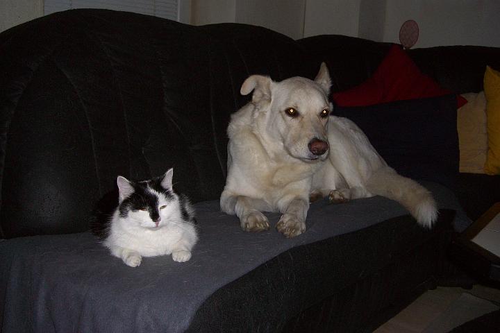 CIMG6770.JPG - Da sind wir beim entspannen. Tommy und ich auf der einen Seite des Sofas...