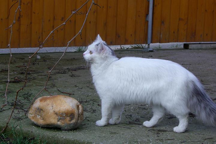 CIMG7053.JPG