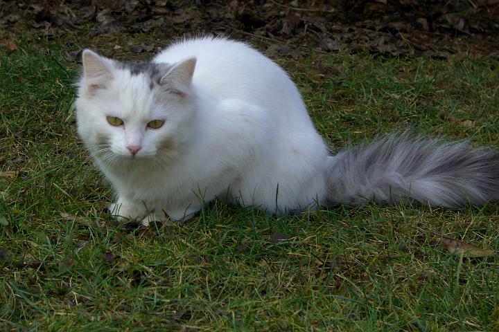 CIMG7061.JPG - Sindy ist inzwischen auch ein erfahrenes Fotomodell