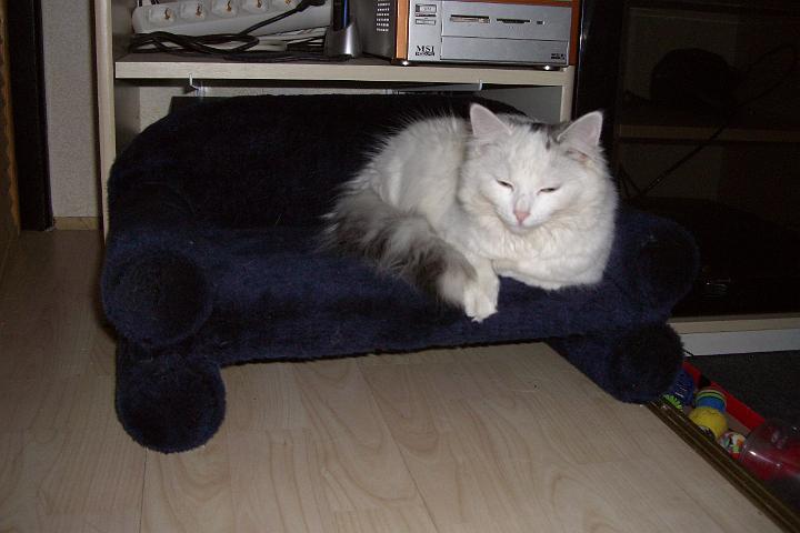 CIMG7066.JPG - Mde vom Ausflug wird ein Nickerchen am Katzensofa gemacht