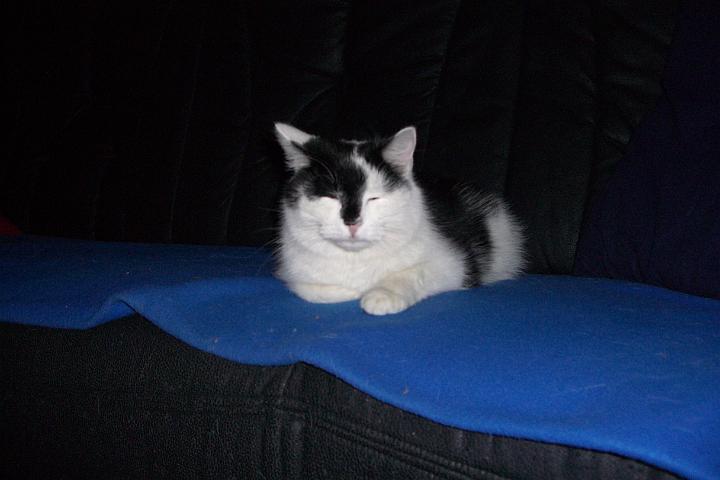 CIMG7068.JPG - Tommy ist auch mde