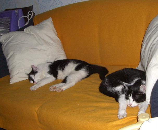 CIMG2001.JPG - Nach den ersten Erkundungen waren alle sehr mde
