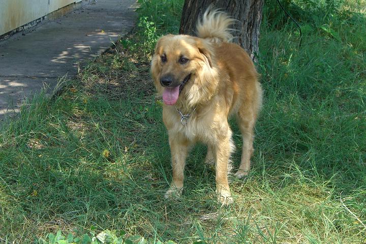 CIMG1231.JPG - Ich habe einen neuen Freund! Das ist Rocky!