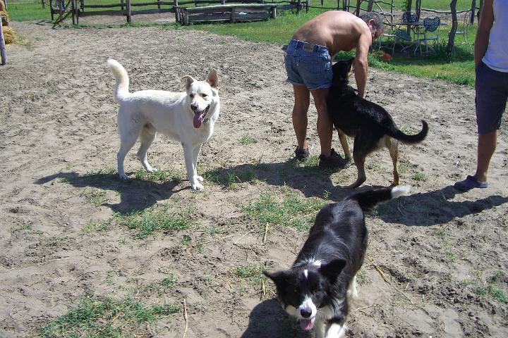 CIMG1461.JPG - Natrlich waren wir auch wieder bei Alice und Lucky