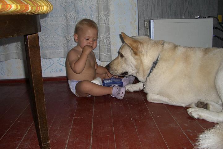 CIMG1537.JPG - Hmmmm, so gute Kekse! Ich will auch!