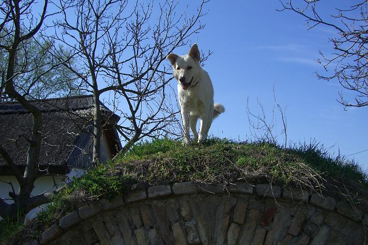 CIMG7946.JPG