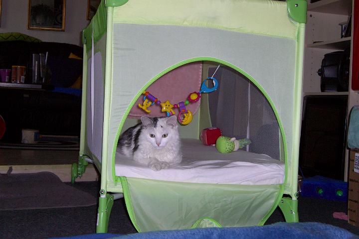 CIMG7115.JPG - ... und so bequem!
