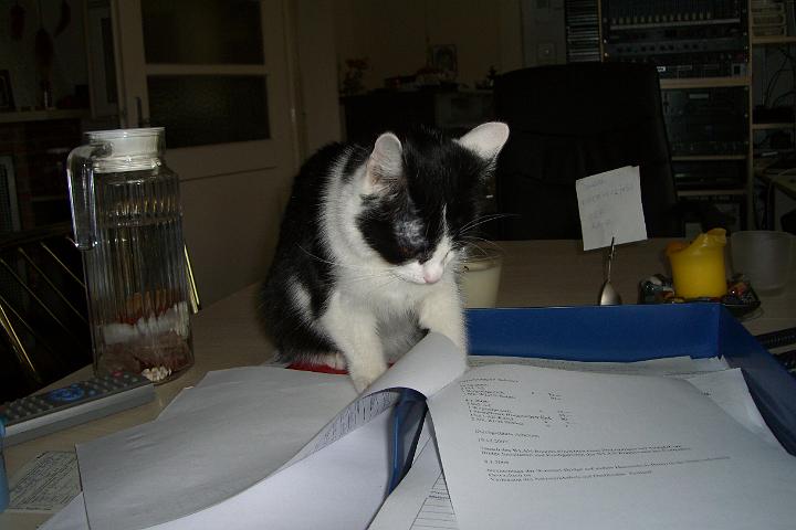 CIMG7195.JPG - Bonny hilft bei der Buchhaltung