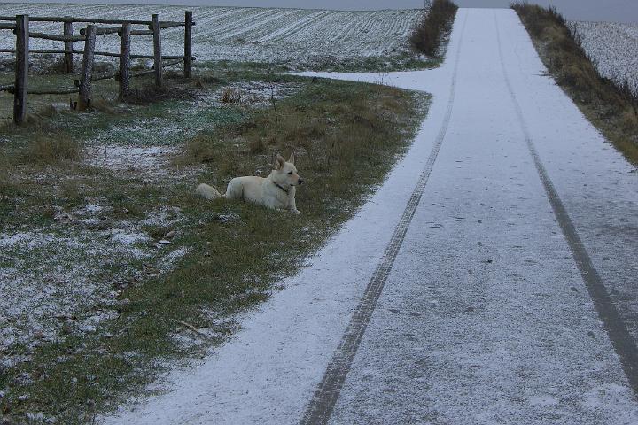 CIMG7215.JPG - Ach ja, ich habe Schnee bestellt!