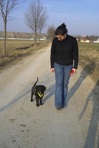 CIMG7303.JPG - Tanja durfte auch mit uns spazieren gehen. Ausnahmsweise ;-)