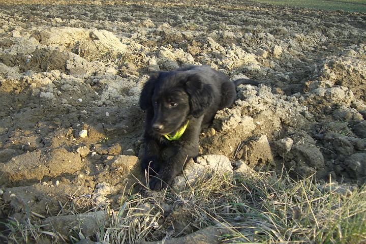 CIMG7305.JPG - Das war ganz schn anstrengend fr das kleine Frulein
