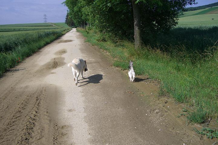 CIMG0416.JPG - Immer schn bei uns bleiben!