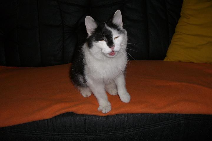 CIMG0433.JPG