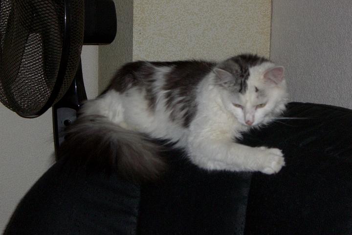 CIMG0435.JPG