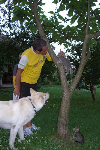 CIMG0766.JPG - Oliver haben wir auch wieder besucht und da gabs so liebe kleine Katzen