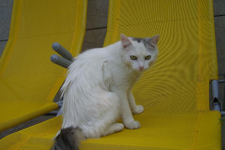CIMG0958.JPG