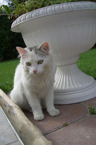 CIMG0962.JPG