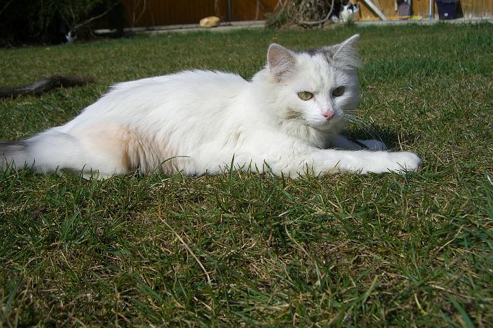 CIMG7527.JPG - Sindy geniet auch das schne Wetter
