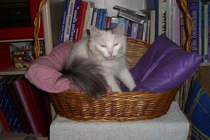 CIMG8316.JPG - Mit Polstern ist das noch bequemer