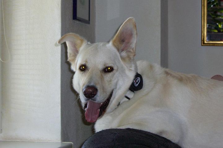CIMG8415.JPG
