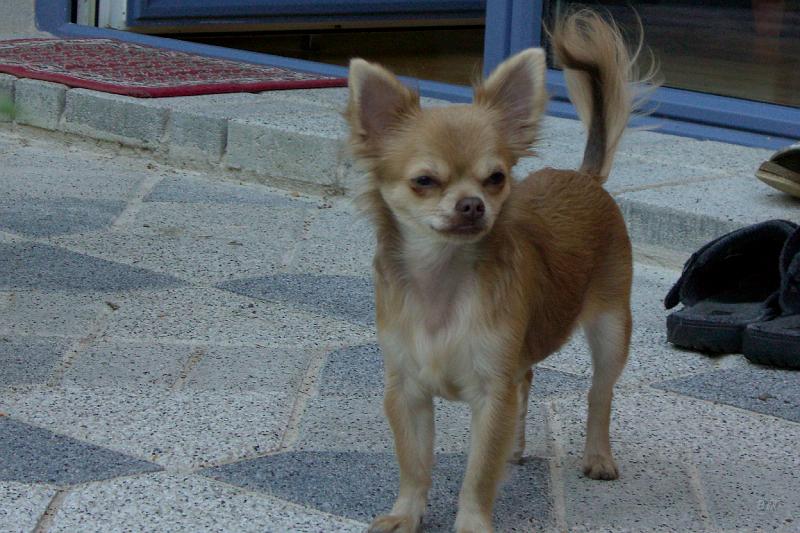 CIMG2548.JPG - Susi