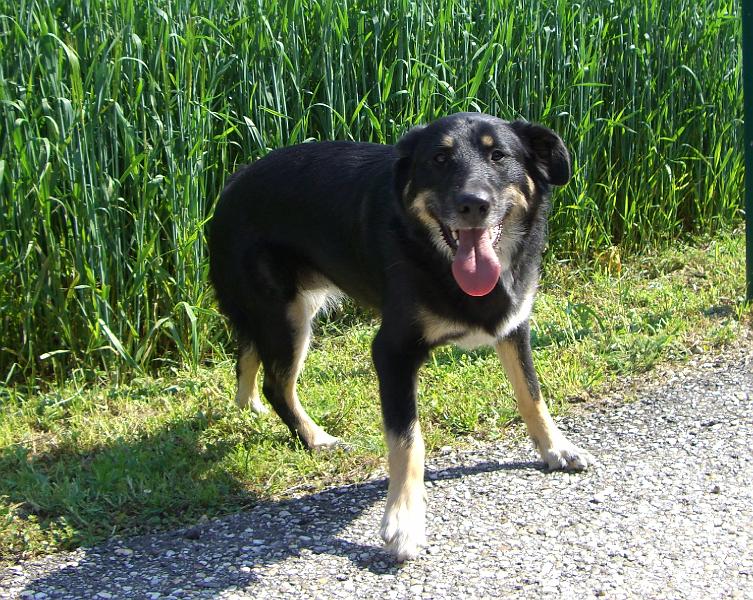 CIMG2569.JPG - Roxy