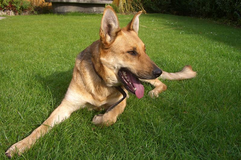 CIMG5373.JPG - Hera