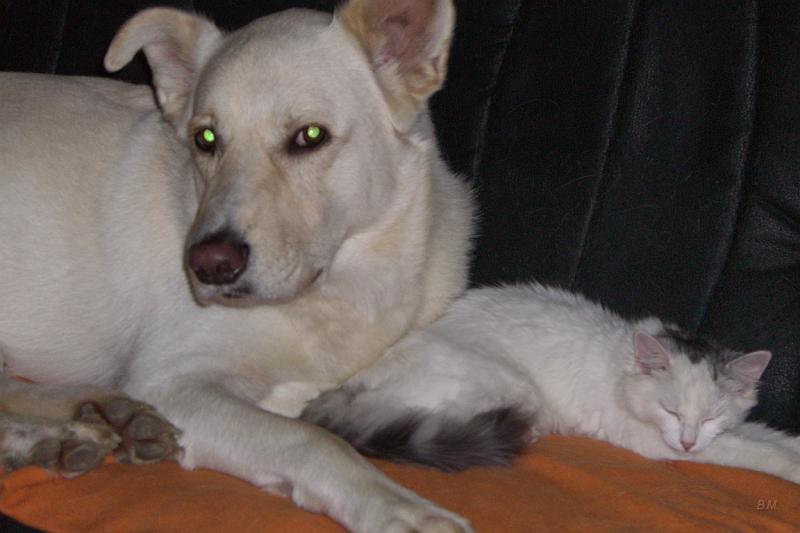 CIMG5822.JPG - Sindy