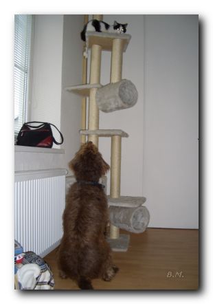 2006:01:05 14:43:47